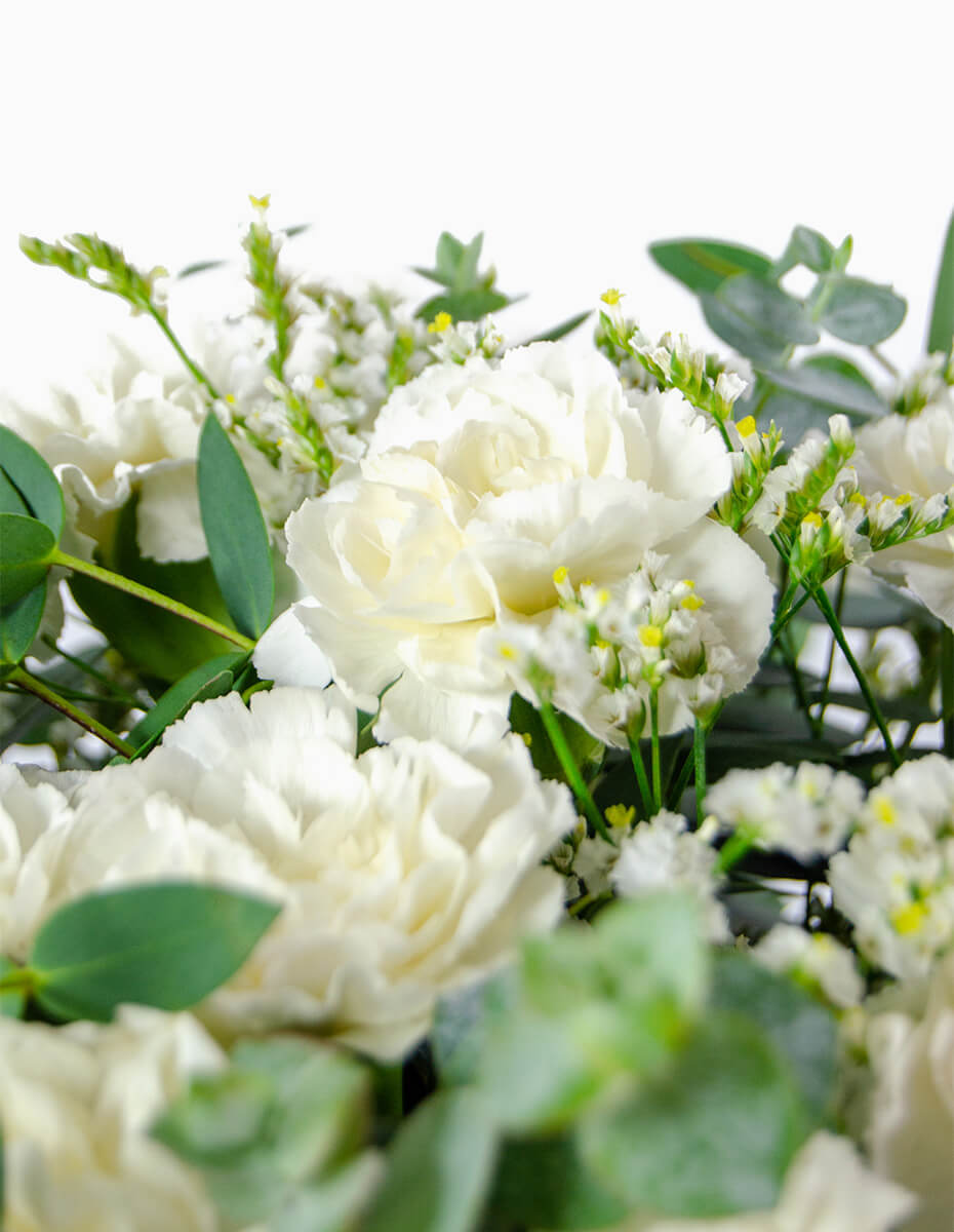 Detalle clavel blanco con panícula y eucalipto - Floristería Peregrina