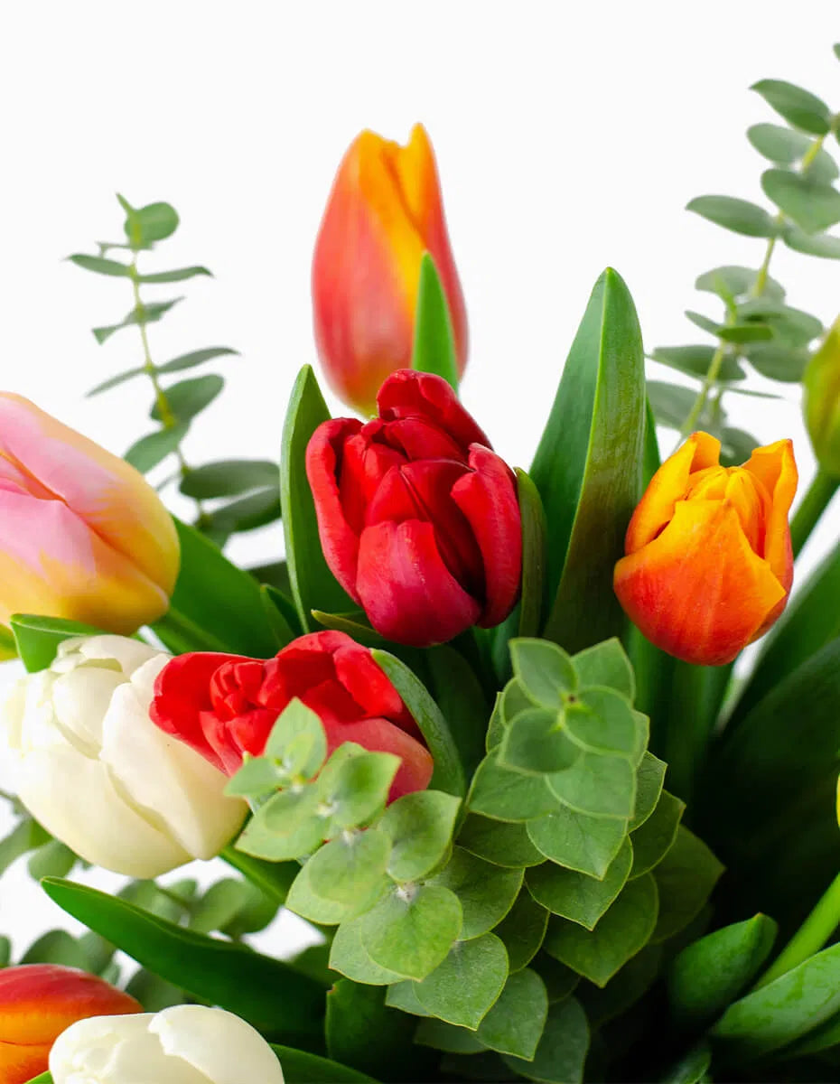 Detalle tulipanes rojos naranjas y blancos con eucalipto - Floristería Peregrina