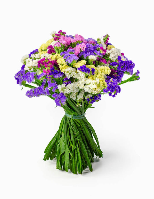 Ramo de estátice multicolor con fondo blanco - Floristería Peregrina