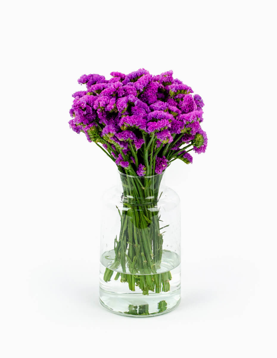 Ramo de estátice fucsia en jarrón de cristal - Floristería Peregrina