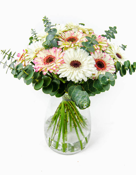 Ramo de gerberas blancas y rosas con eucalipto en jarrón - Floristería Peregrina Pontevedra