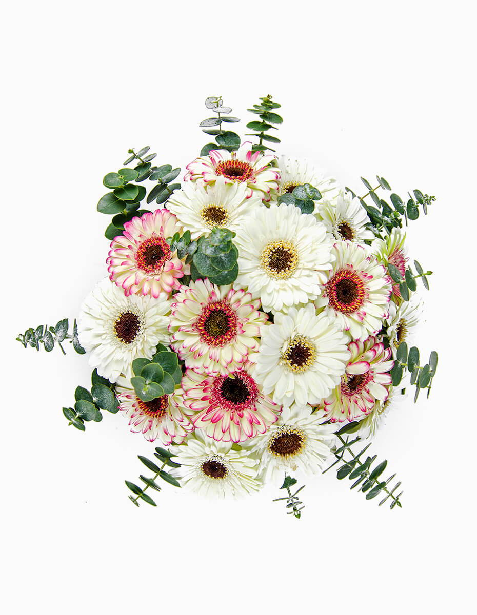 Vista superior ramo de gerberas con eucalipto - Floristería Peregrina