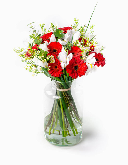 Ramo de gerberas rojas e iris blancos con wax en jarrón - Floristería Peregrina Pontevedra