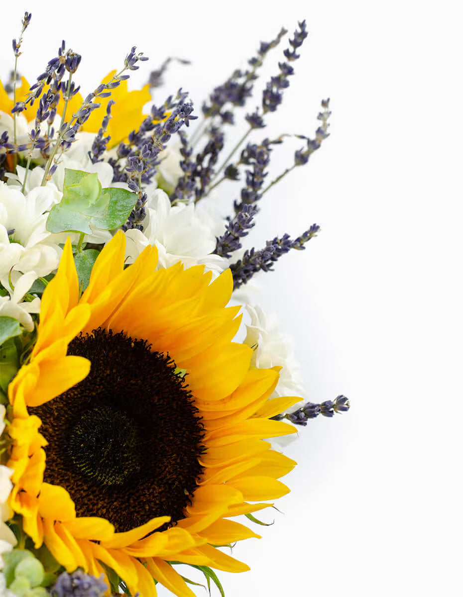 Detalle ramo de girasoles y lavanda frescos - Floristería Peregrina Pontevedra