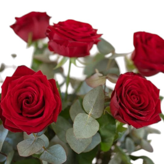 Ramo de rosas rojas con eucalipto sostenido en mano - Floristería Peregrina