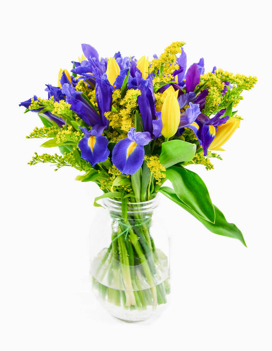 Ramo de Tulipanes Amarillos e Iris Azules con Solidago