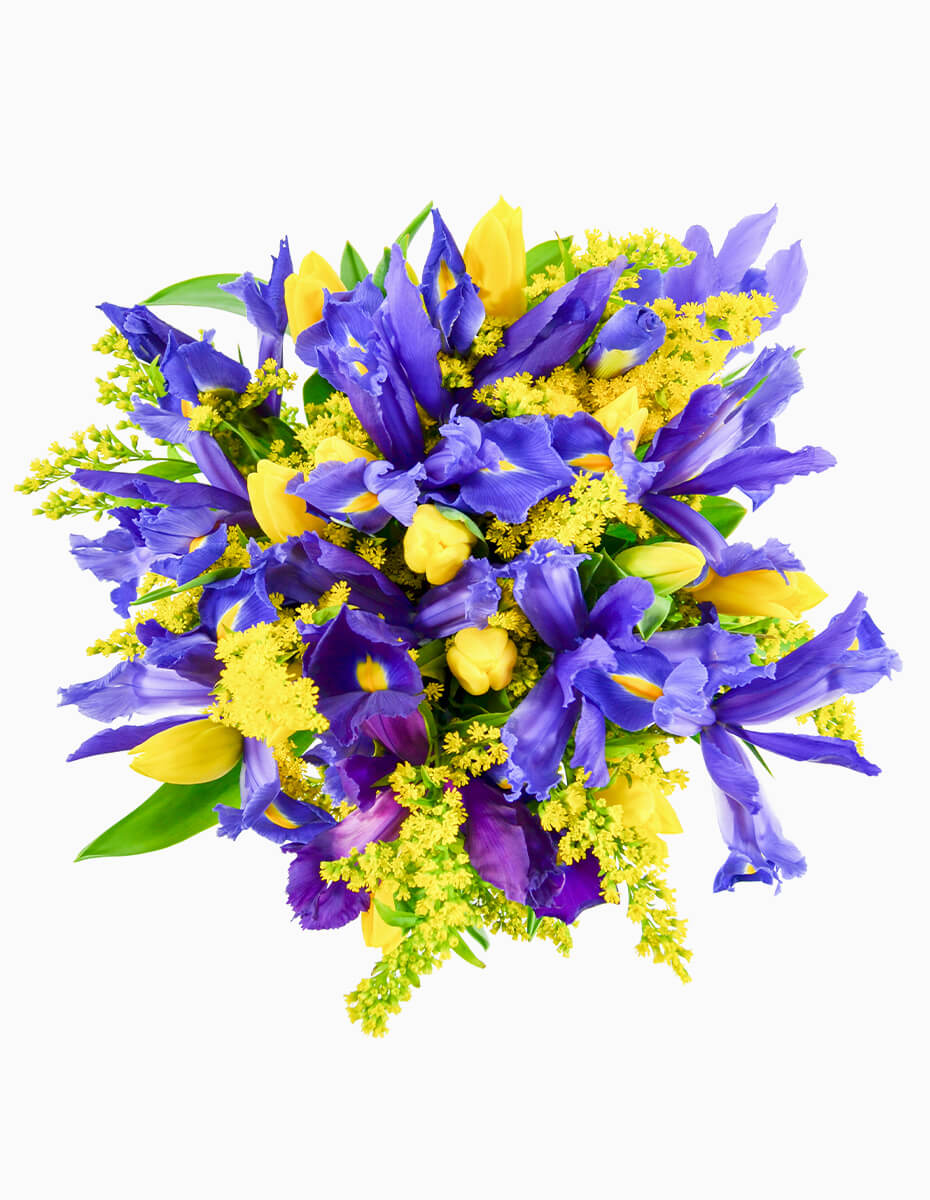 Ramo de Tulipanes Amarillos e Iris Azules con Solidago