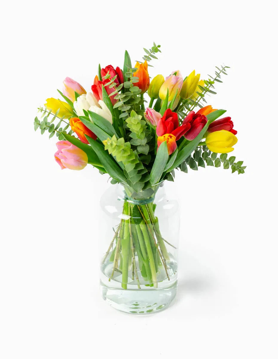 Ramo de tulipanes mixtos de colores con eucalipto en jarrón - Floristería Peregrina Pontevedra